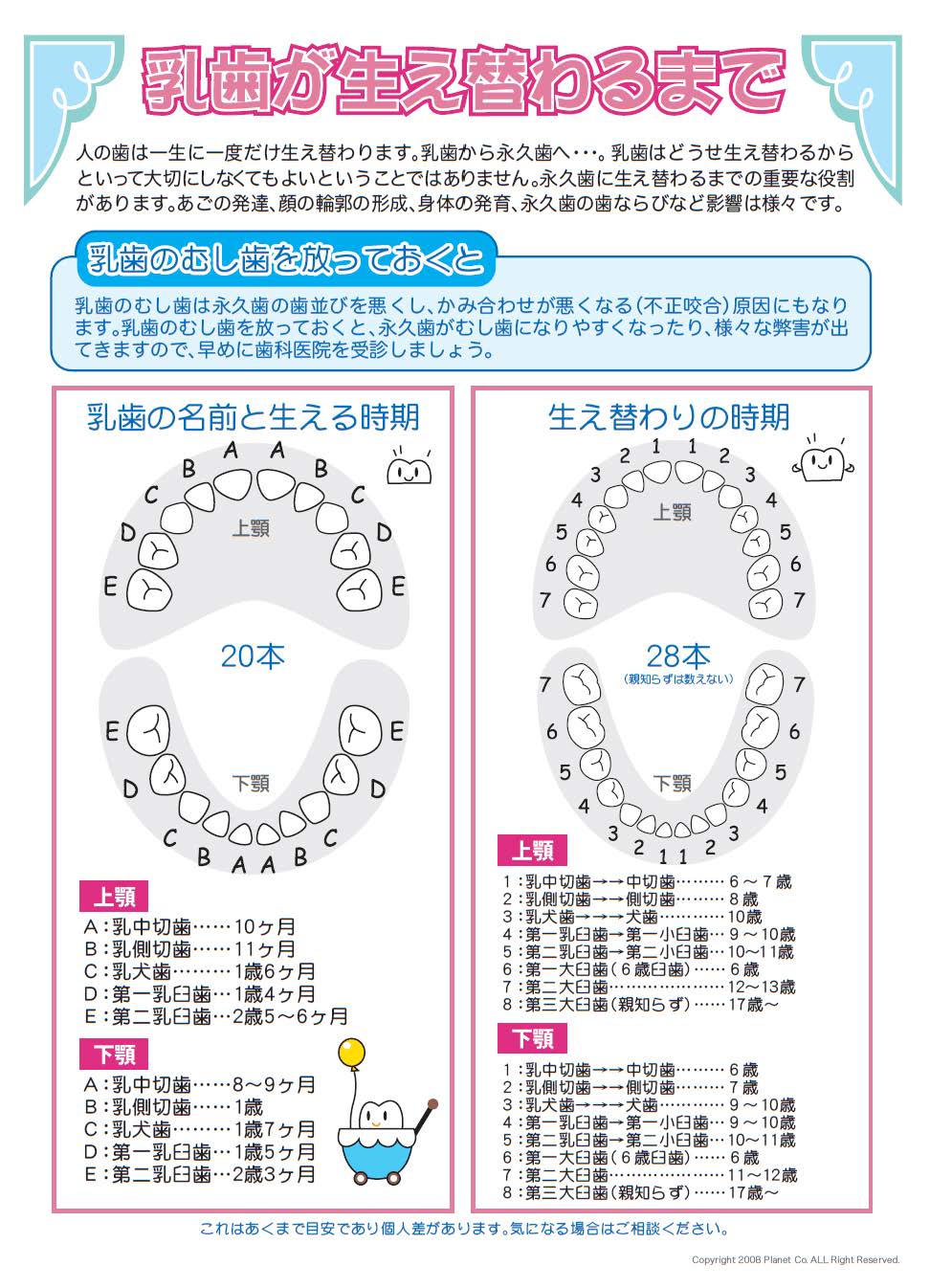 乳歯が生え変わるまで