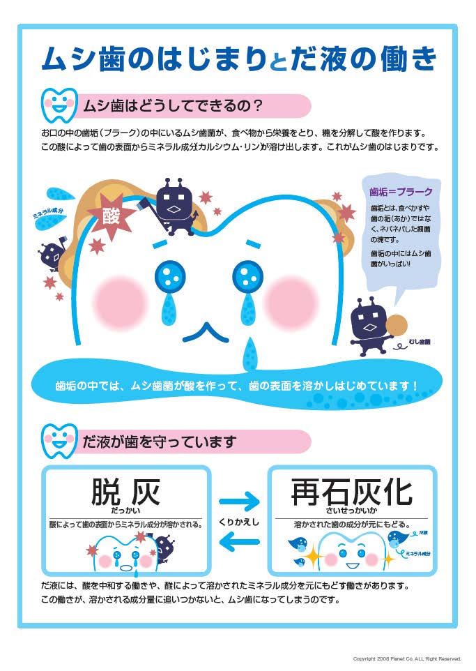 虫歯のはじまりと唾液の働き